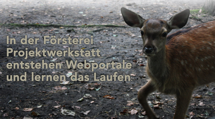 In der F�rsterei Projektwerkstatt entstehen Webportale und lernen das Laufen.